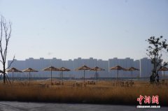 大河村国家考古遗址公园